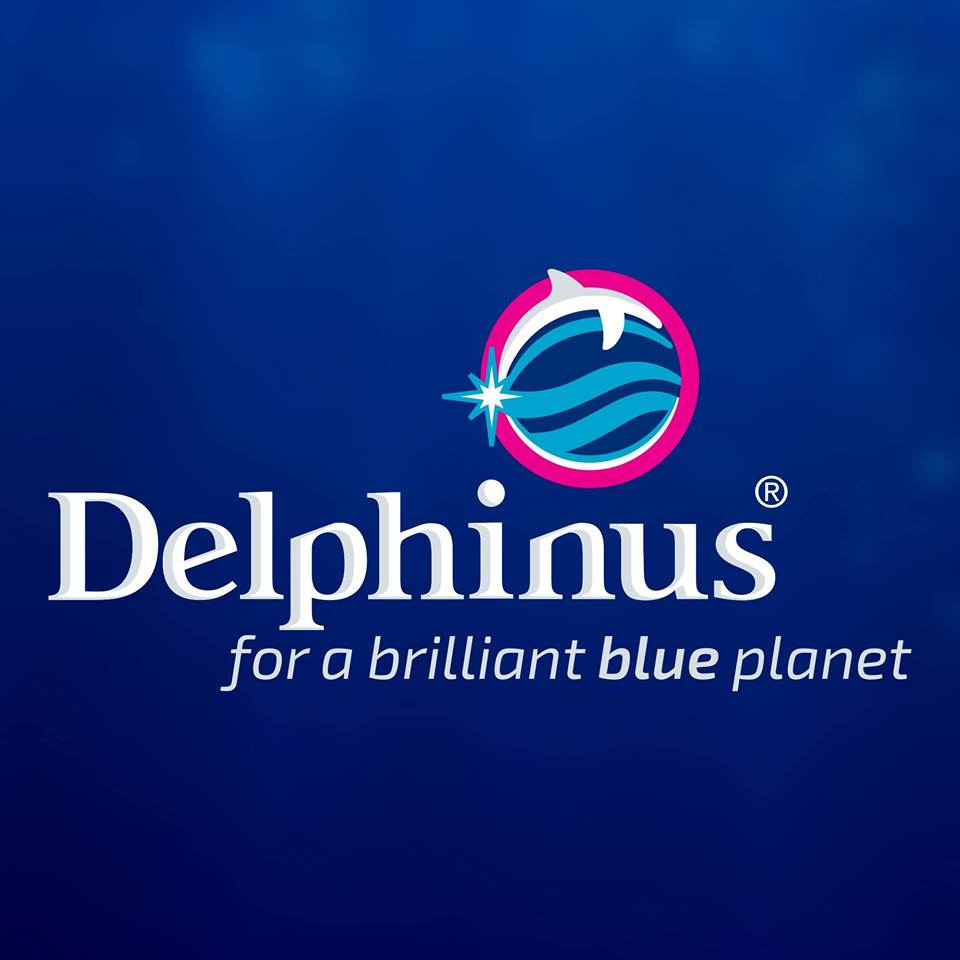 Delphinus playa del carmen